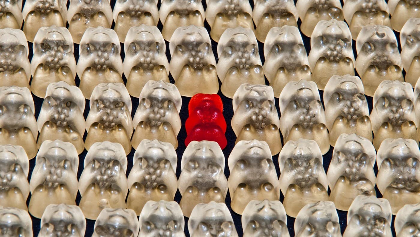 Skill-Based Institutions vs Big Universities &#8211; Everything You Need To Know